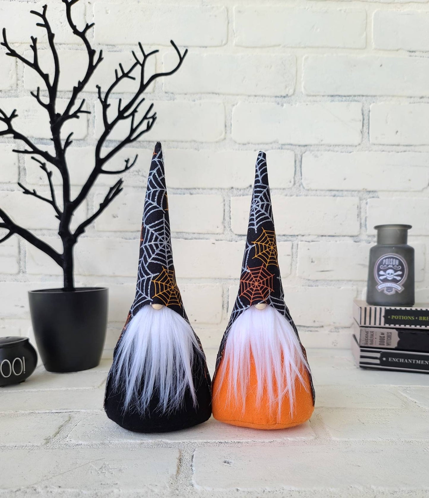 Spider Web Gnome